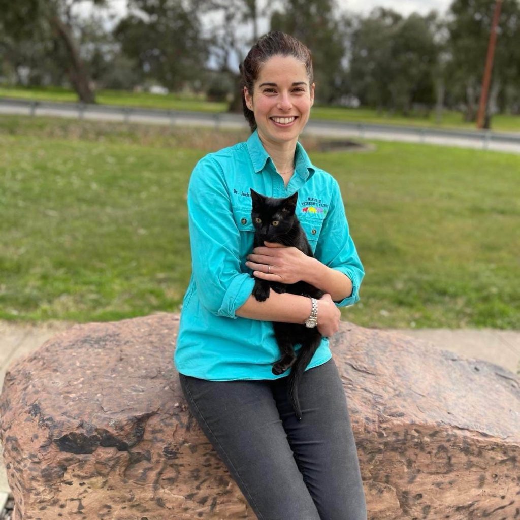bethany-vogelzang-mansfield-veterinary-clinic