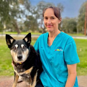 Belinda Egan - Our Veterinarians - Mansfield Veterinary Clinic