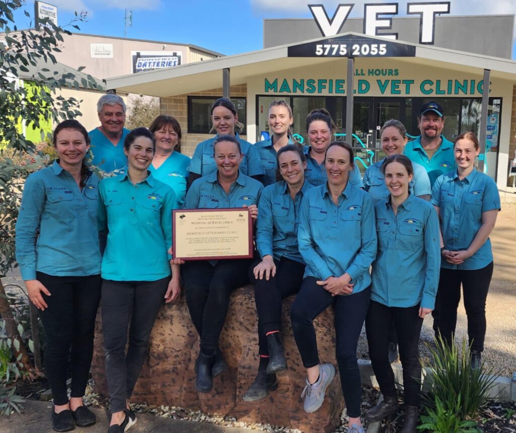 Meet Out Veterinarian Team - Mansfield Veterinary Clinic